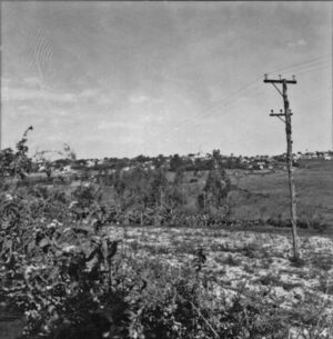 Vista parcial de Laranjal Paulista (SP) - 1957, IBGE (2).jpg